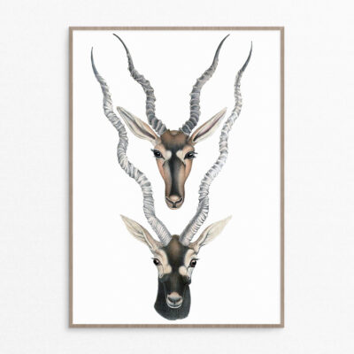 plakat, dyr, minimalistisk, nordisk, hjorte A3 plakat, dyr, minimalistisk, nordisk, hjorte