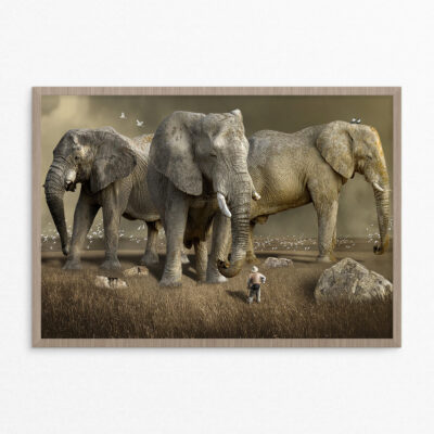 Plakat, fantasi, elefanter A3 Plakat, fantasi, elefanter