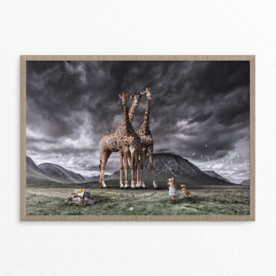 Plakat, fantasi, giraffer A3 Plakat, fantasi, giraffer