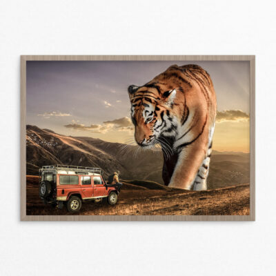 Plakat, fantasi, tiger A3 Plakat, fantasi, tiger