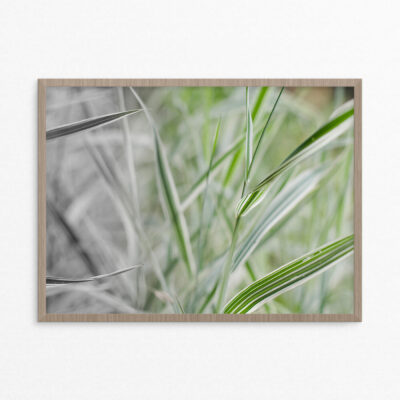 Plakat, natur 40-30 Plakat, natur