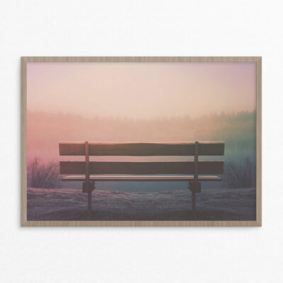 Plakat, skov, natur, bænk A3 Plakat, skov, natur, bænk
