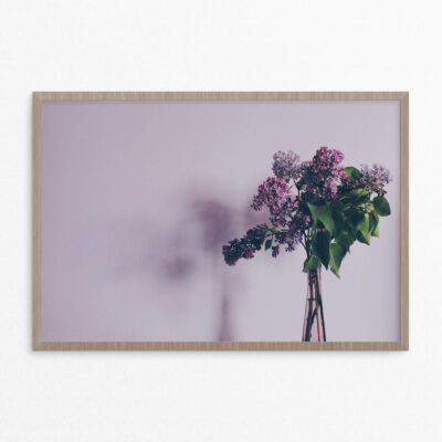 plakat, blomst, lilla A3 plakat, blomst, lilla