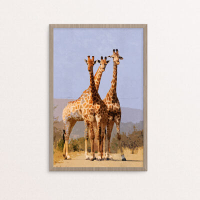 plakat, dyr, giraffer, retro A3 plakat, dyr, giraffer, retro