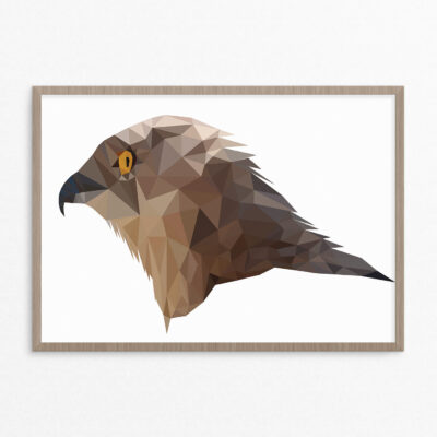 plakat, dyr, ørn, pastel A3 plakat, dyr, ørn, pastel
