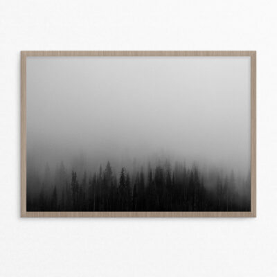 plakat, natur,skov, tågedis A3 plakat, natur,skov, tågedis