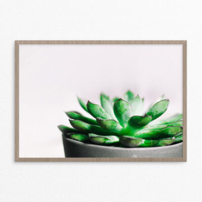 plakat, plante, grøn A3 plakat, plante, grøn