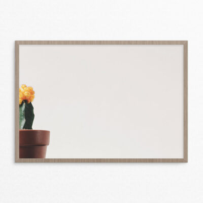 plakat, plante, kaktus med blomst A3 plakat, plante, kaktus