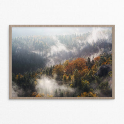 plakat, natur,skov, efterår A3 plakat, natur,skov, efterår